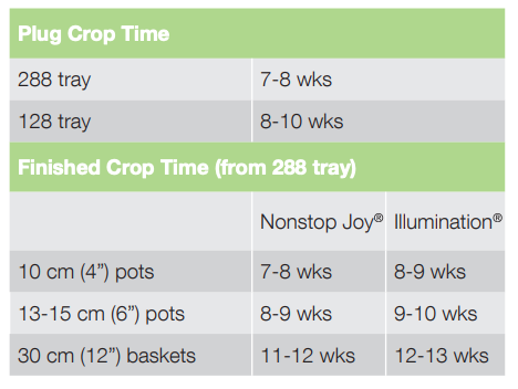 Crop Time Nonstop Joy