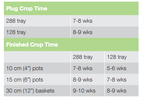 Crop Time Sun Cities Collection