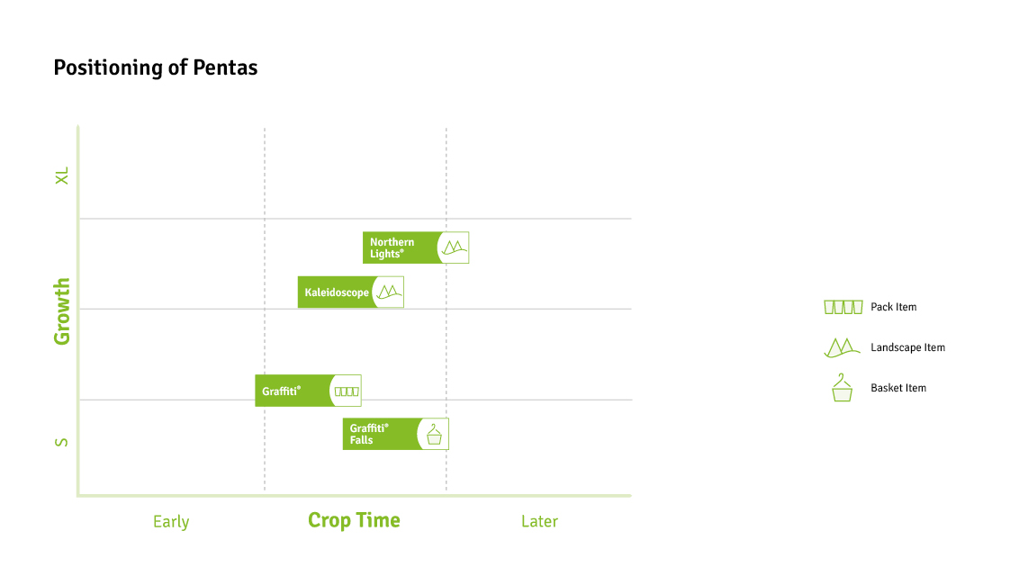 Timing Charts Pentas