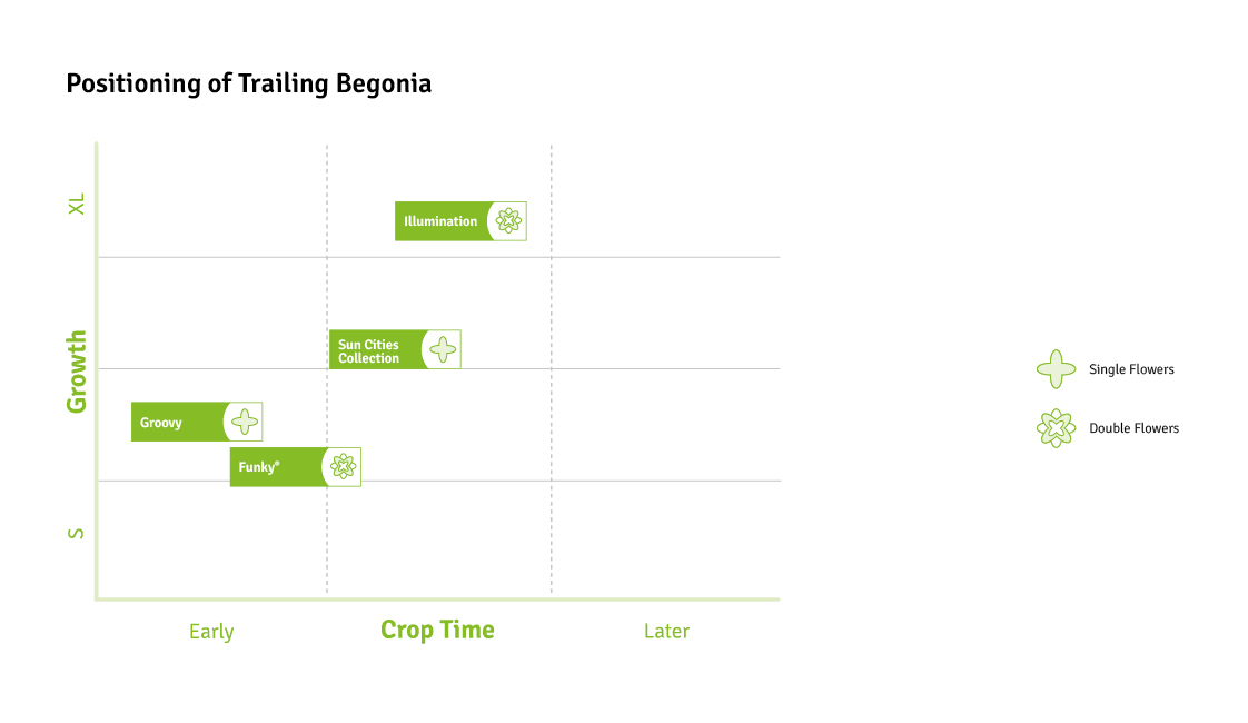 Timing Charts Trailing Begonia