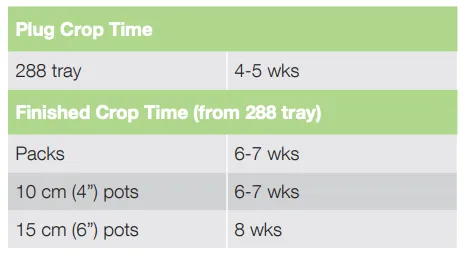 Crop Time Fresh Look