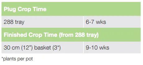 Crop Time Graffiti Falls