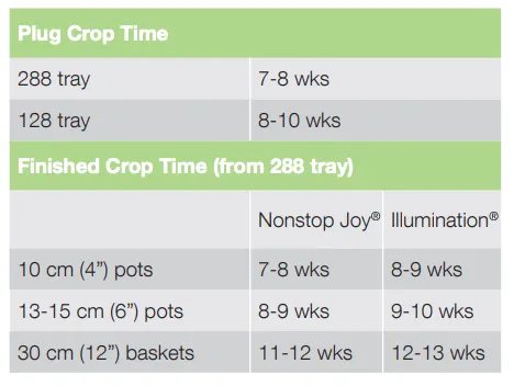 Crop Time Nonstop Joy