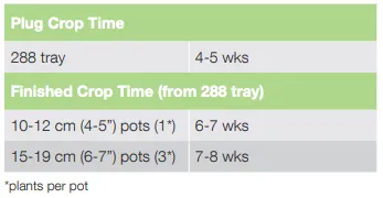 Crop Time Pony Tails