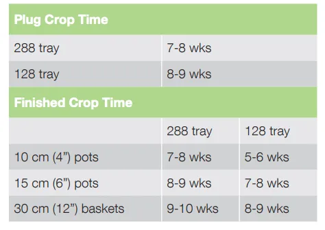 Crop Time Sun Cities Collection