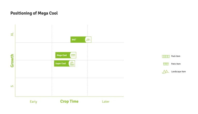 Timing Charts Mega Cool