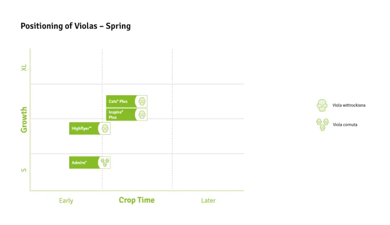 Timing Charts Viola Spring