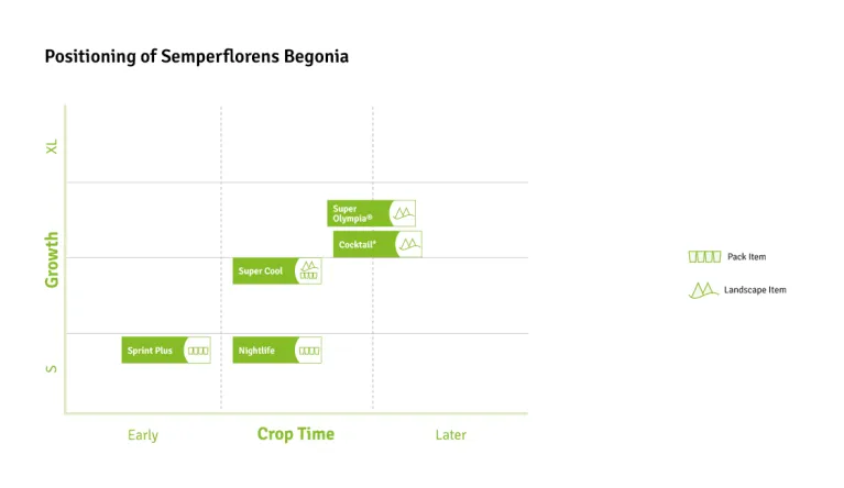 Timing Charts semperflorens