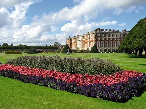 BIG am Hampton Court Palace, England Die Züchtung BIG blüht am Hampton Court Palace in England