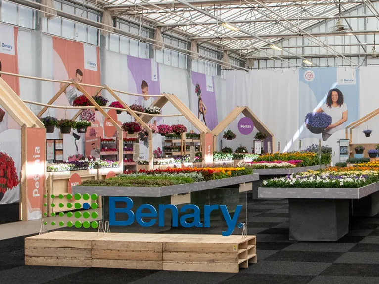 Flower Trials Recap 2026 Benary Stand