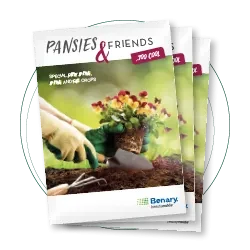 Pansies & Friends