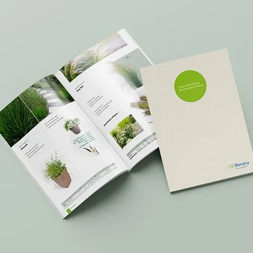 Benary Blumensamen-Katalog